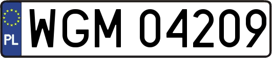 WGM04209