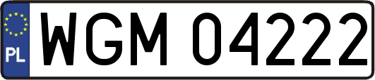 WGM04222