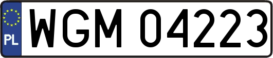 WGM04223