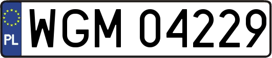 WGM04229