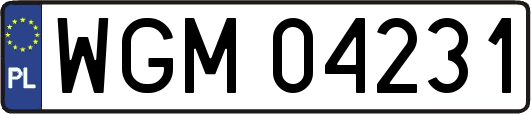 WGM04231