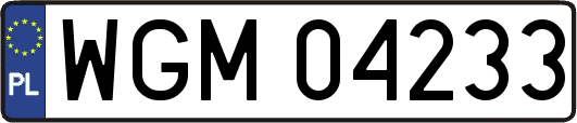 WGM04233