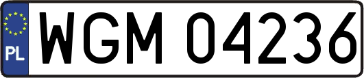 WGM04236