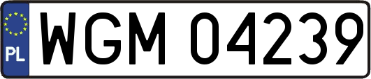 WGM04239