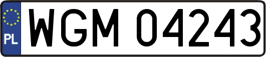 WGM04243