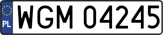WGM04245