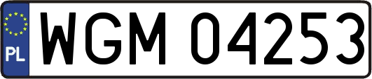 WGM04253