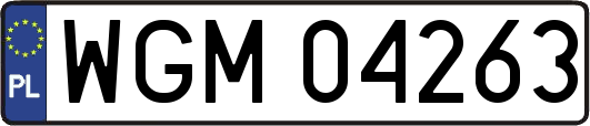 WGM04263