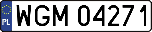 WGM04271