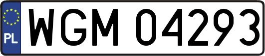 WGM04293