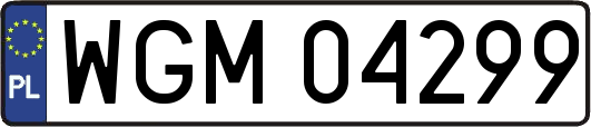 WGM04299
