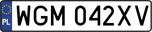 WGM042XV