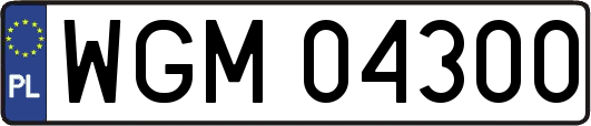 WGM04300