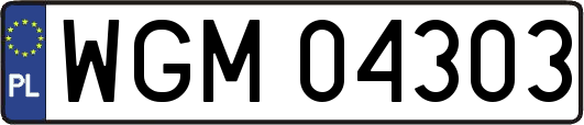 WGM04303