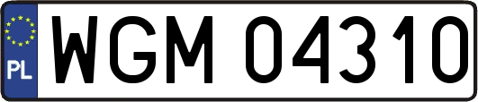 WGM04310