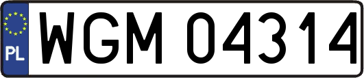 WGM04314