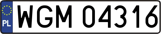 WGM04316