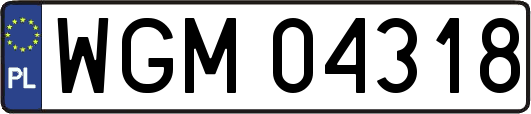 WGM04318