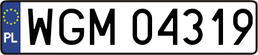 WGM04319