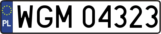 WGM04323
