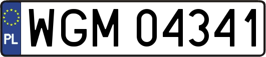 WGM04341