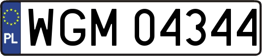 WGM04344