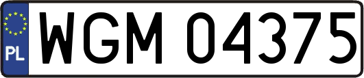 WGM04375
