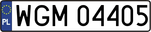 WGM04405