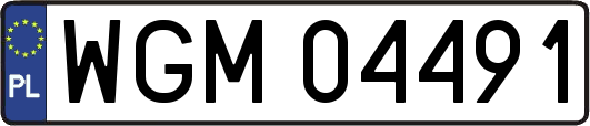 WGM04491