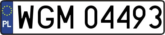 WGM04493