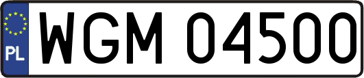 WGM04500