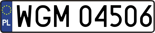 WGM04506