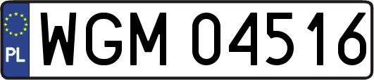 WGM04516