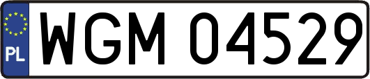 WGM04529