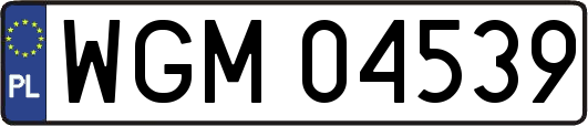 WGM04539