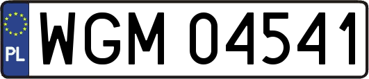 WGM04541