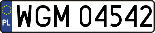 WGM04542
