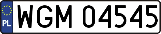 WGM04545
