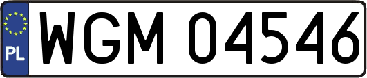 WGM04546