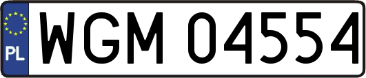 WGM04554