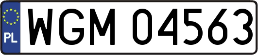 WGM04563