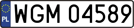 WGM04589