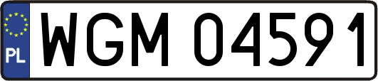 WGM04591