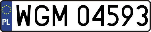 WGM04593