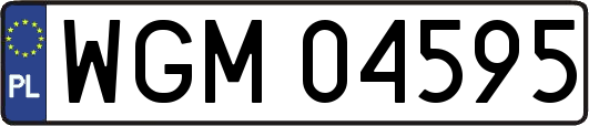 WGM04595