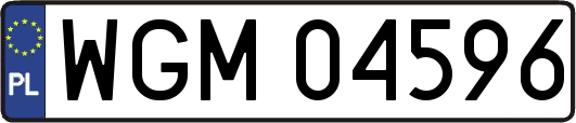 WGM04596