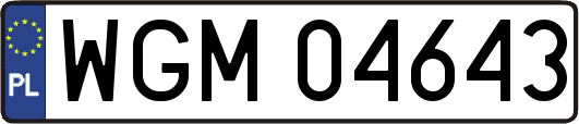 WGM04643