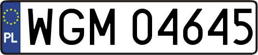 WGM04645