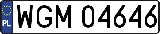 WGM04646