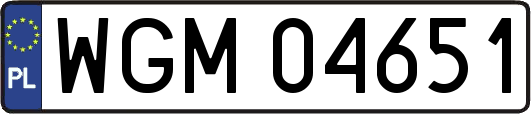 WGM04651